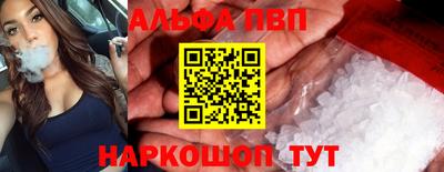 тгк Гай